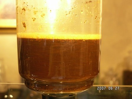 虹吸壶煮咖啡：一杯两瓢粉的搅拌后吸水排气的状态