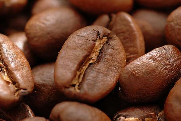 如何判断咖啡豆的新鮮度？