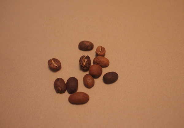 如何选择咖啡豆？ 怎么选择咖啡豆？ -咖啡豆选购锦囊