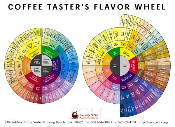 SCAA风味轮 Coffee Tasters Flavor Wheel 