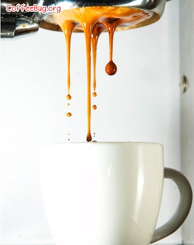 fresh_coffee_dripping_into_a_cup.jpg