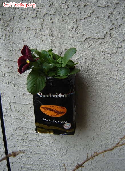 咖啡豆喝完了包装袋直接扔掉？还可以拿来养花哦！