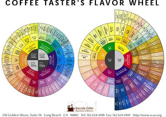 如何分辨咖啡豆的好坏