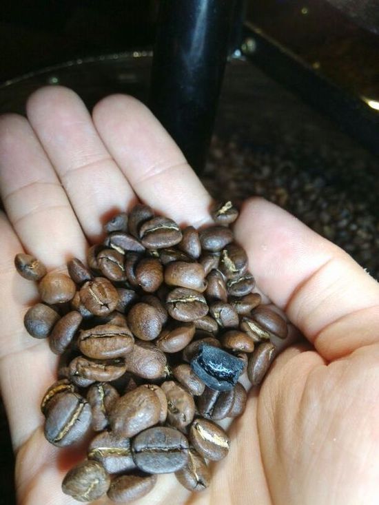 如何分辨咖啡豆的好坏