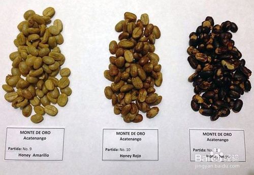 蜜处理后的咖啡豆如何分级？