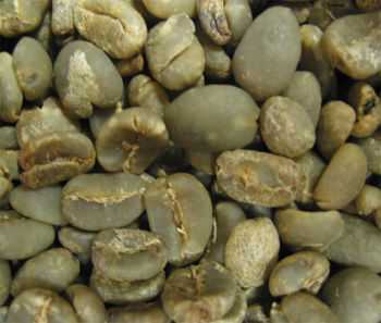 苏门答腊曼特宁DP咖啡豆