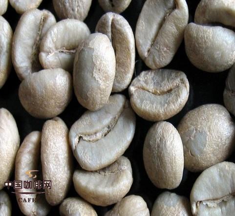 尼加拉瓜竞赛优胜咖啡豆