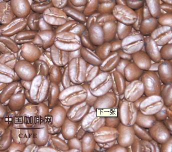 如何烘焙咖啡豆
