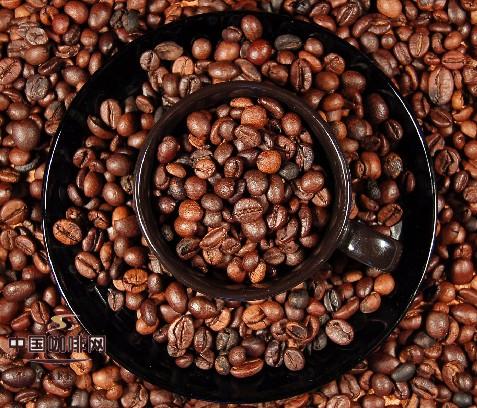 解读咖啡豆的名称