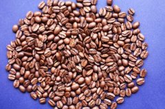 印尼精品咖啡介绍 印尼咖啡的独特口感 印尼咖啡种植 印尼咖啡风