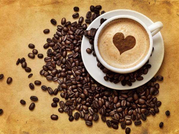 全球53个咖啡产地咖啡介绍水洗发酵日晒萨尔瓦多帕卡马拉种Ataisi