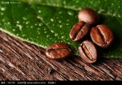 咖啡的圣地 澳大利亚咖啡澳大利亚的著名咖啡馆 精品咖啡豆