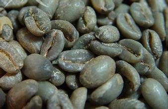 精品90+咖啡豆的品种种类风味描述口感处理法介绍