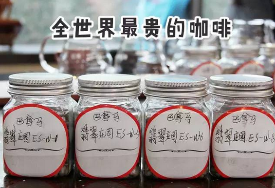 深圳精品咖啡界泰斗级人物,豆舞咖啡创始人龙哥