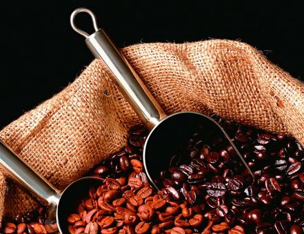 坦桑尼亚查加咖啡豆介绍以及风味