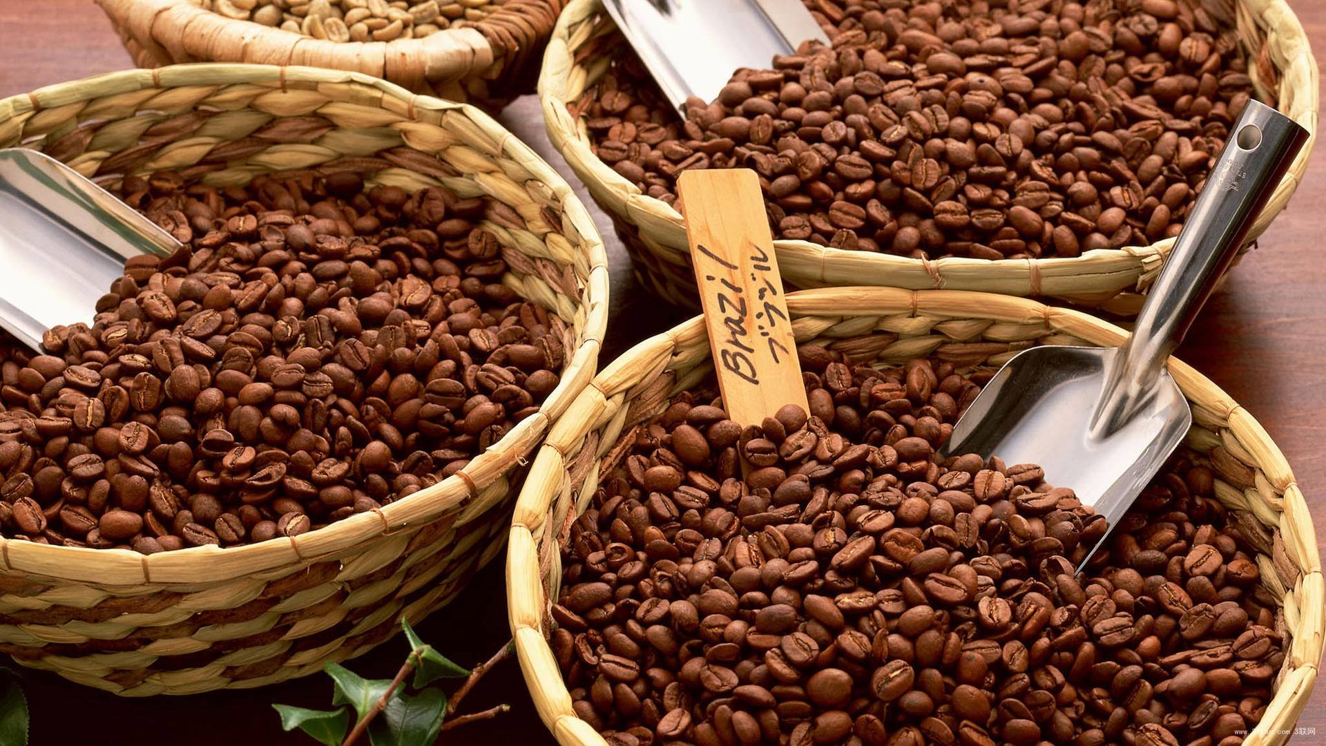 非洲咖啡豆有什么特点 非洲豆种类介绍 中国咖啡网