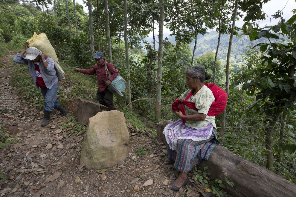 瓜地馬拉的咖啡農Luis Manuel Antonio（最左）的小農場遭到咖啡鏽肆虐。咖啡歉收已經為他和他的妻子帶來了壓力與焦慮。其他地區則有收入減少導致兒童營養不良個案增加的情形。 PHOTOGRAPH BY JANET JARMAN