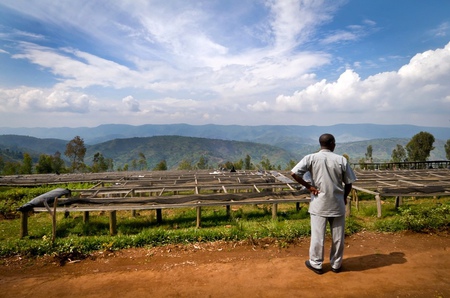 卢旺达咖啡豆发展史产业起源故事特点