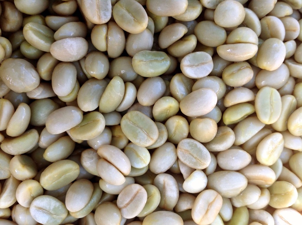shining green beans