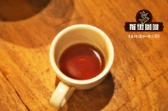 咖啡师资格证种类介绍 SCA咖啡师与高级咖啡师考试内容地点