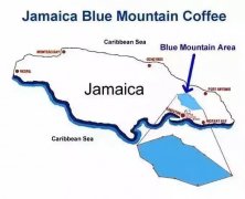 【牙买加蓝山】7种正确打开方式 牙买加蓝山咖啡怎么喝？