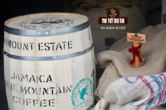 蓝山咖啡是什么？牙买加蓝山咖啡有什么？CIB又是什么？