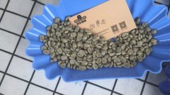 肯尼亚咖啡产区对比|涅里、穆拉雅、锡卡产区的咖啡有什么区别？