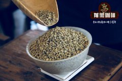 小蓝莓庄园帕奇怎么烘焙 小蓝莓庄园帕奇什么烘焙程度好喝