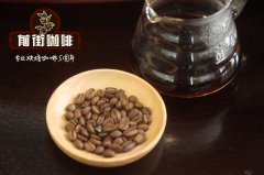 小蓝莓庄园帕奇烘焙曲线指南 小蓝莓庄园帕奇不同处理法风味描述