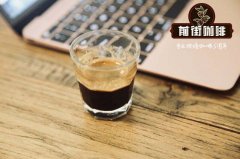 危地马拉咖啡法汉尼斯产区皮拉庄园介绍_帕榭品种咖啡豆好喝吗