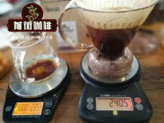 危地马拉 睡美人庄园咖啡豆的风味感受如何？