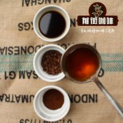 危地马拉阿卡特南产区优美庄园信息故事_优美庄园咖啡获奖记录