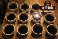 巴拿马咖啡 巴拿马波凯蝶产区凯萨路易斯咖啡有什么风味特点？