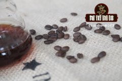 苏门答腊咖啡豆 什么是老虎曼特宁 老虎曼特宁有什么特点故事