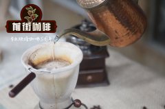 哥伦比亚卓越杯精选批次 天堂庄园 哥伦比亚