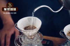 哥伦比亚粉波旁 波旁咖啡 咖啡变种 咖啡稀有品种