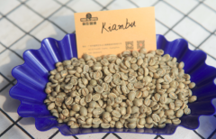 【前街咖啡师手记】肯尼亚的咖啡产区不同是不是都是很酸的？