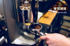 稳定的出品来源于严格的把控  咖啡店每日早测