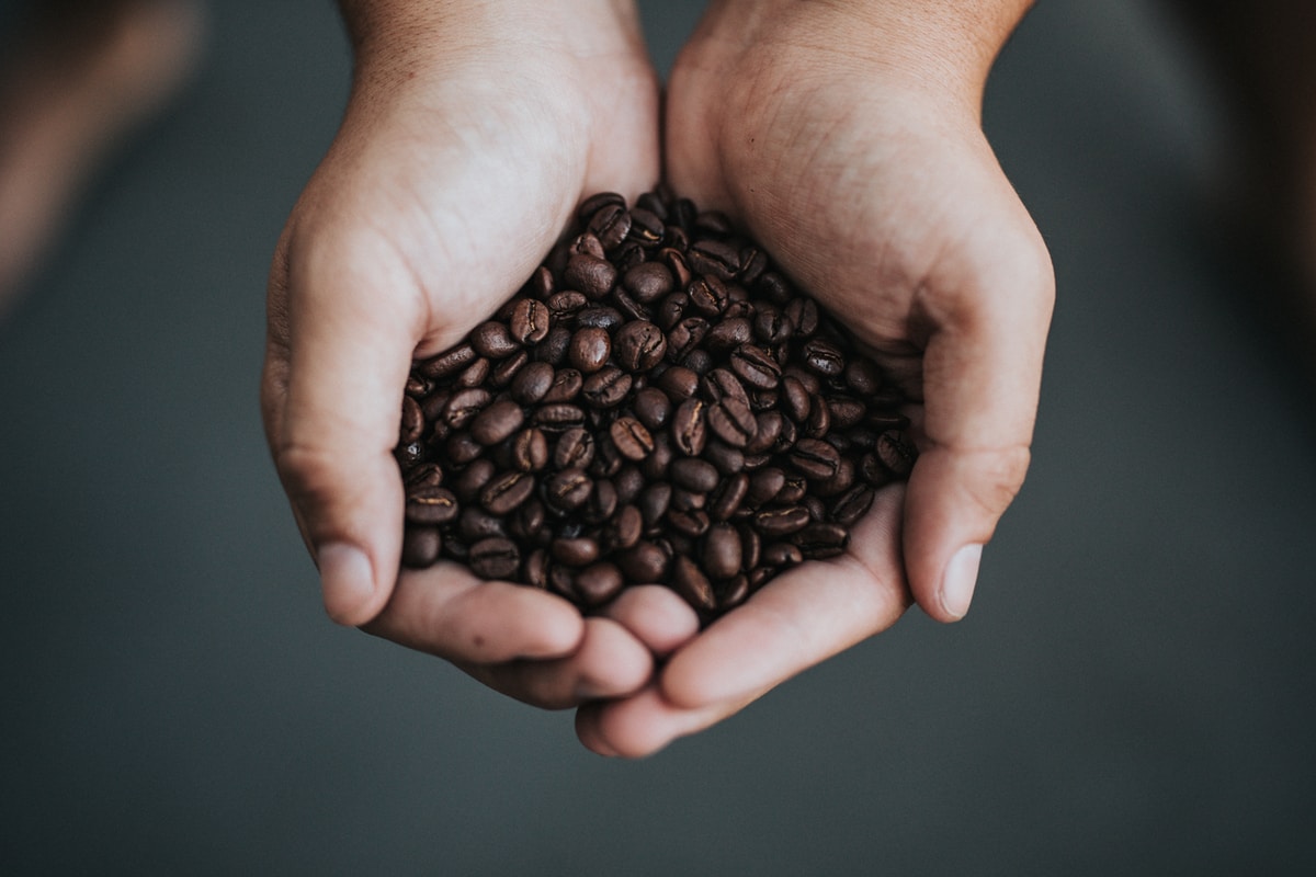 咖啡处理法对咖啡豆的化学成分及风味有什么影响？