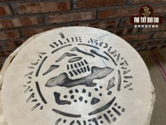 蓝山精品咖啡 桶里的精品咖啡 正宗蓝山咖啡到底在哪里？