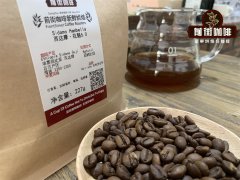 咖啡豆的类型有那些 为什么咖啡行业的咖啡豆多样化