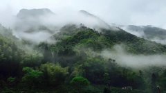 好的茶叶冲泡后喝起来有什么特点？中国高山茶产地在哪个地方？
